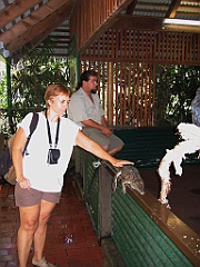 CairnsTC275 Wildlife Habitat